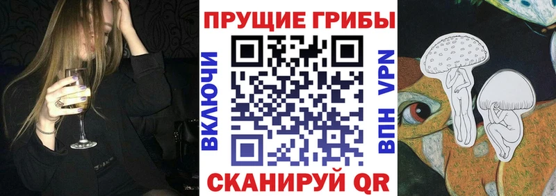 Псилоцибиновые грибы Magic Shrooms  Купить где  Старица 